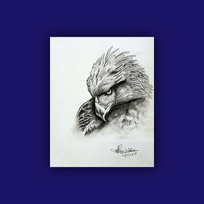 Eagle eye animal art bird black dark drawing eagle elegant falcon hand hand drawn illustration inspiration majestic pencil powerful simple sketch traditional white