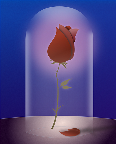 Enchanted Rose graphic design illustration vector