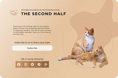 Charitable foundation cats dailyui design illustration ui ux благотворительность