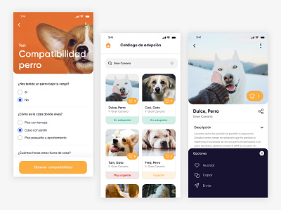 Pet adoption #app animals cats dogs pet petadoption ui uiux