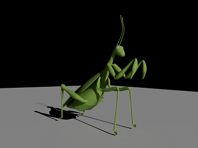 Mantis religiosa 3d 3dmodel autodeskmaya design graphic design motion graphics