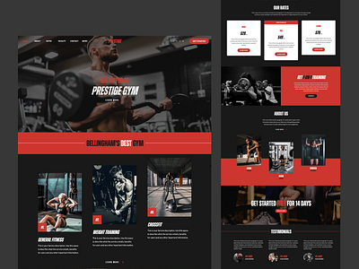 Bold Web Design brand strategy design graphic design web design web development website website design