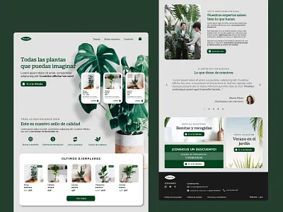"Plantas" e-commerce - UI design 02 design graphic design ui ux web design
