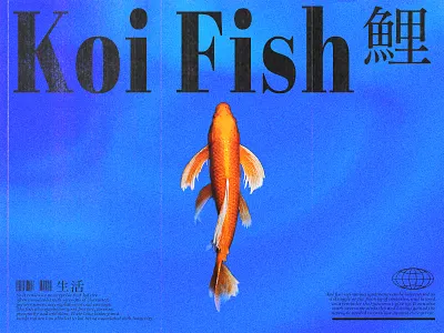 Koi Fish abstract blue colorful design design inspiration editorial editorial design gradient graphic design magazine minimal modern poster poster design print print design typography vector