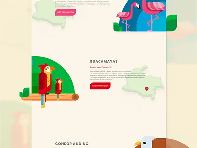 Aves Website app design designer inspiration ui