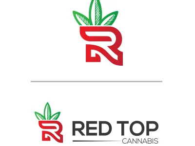 Red Top branding branding design graphic illustration logo logo design vector