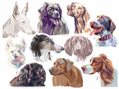 Good boys [digital sketch] art best friend character design concept art digital art dog drawing editorial good boy hound illustration painting photoshop puppy sketch