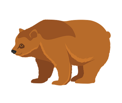Grizzly Bear Vector 3d alphabet vector animal vector beer vector graphic design illustrator file