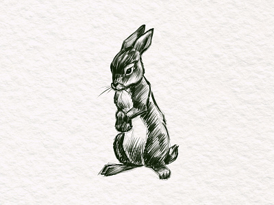 Rabbit Sketch adobephotoshop animal animalart animaldrawing digitalpainting digitalsketch illustration rabbit rabbitsketch sketch