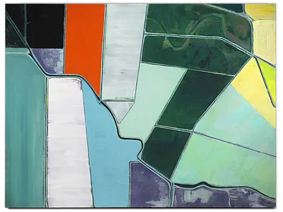 Sand Slough Road abstract ariel view california central valley from above painting wall art