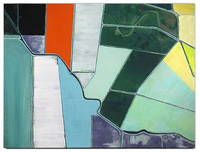 Sand Slough Road abstract ariel view california central valley from above painting wall art