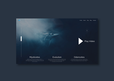 Whale Watching Service Landing Page adobexd app branding design illustration landingpage logo sea ui ux water web whale