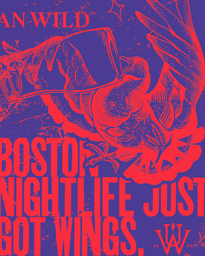 Wild Birds - Boston Nightlife bird birds boston darts illustration night nightlife party pigeon pigeons type typography