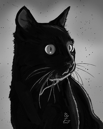 Black Cat Illustration by Oz Galeano animals art arte cat design dibujo digitalart drawing illustration ozgaleano ui