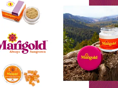 Marigold Branding branding cannabis designer illustration logo