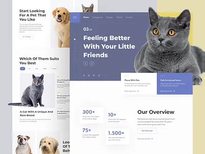 Pet website animal animal care cat dog homepage landing page pet pet care pet health pet store petshop ui uiux ux web web design website