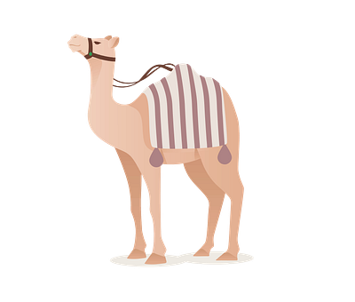 Exquisite Saddled Camel Vector 3d graphic design illustrator png