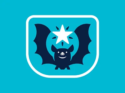 Southern Star Pediatric Dentistry T-shirt Illustrations dentist icons illustration stars