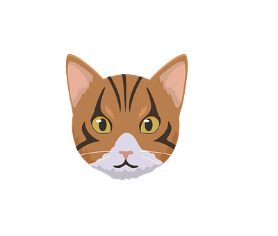 Cute Bengal Cat Face Vector 3d graphic design illustrator png
