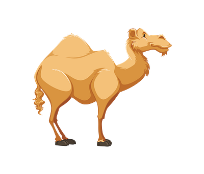 Cartoonish Dromedary Camel Vector 3d graphic design illustrator png