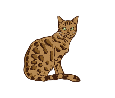 Gorgeous Bengal Cat Vector 3d graphic design illustrator png