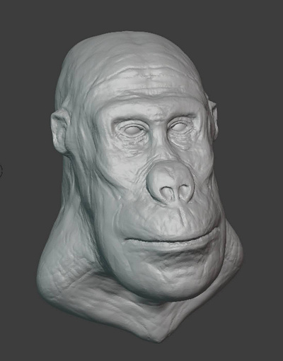 Gorilla Sculpt 3d 3dsculpt blender