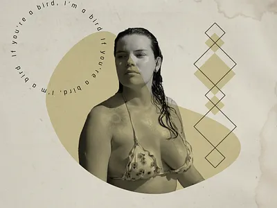 My Bird branding design digital collage graphic design illustration