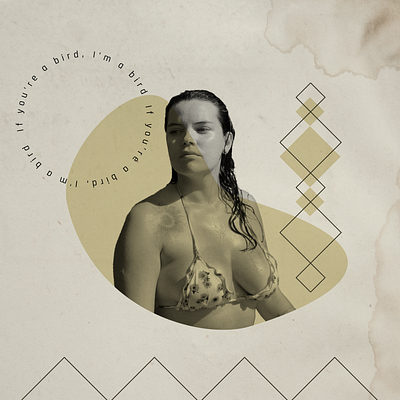 My Bird branding design digital collage graphic design illustration