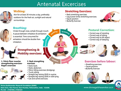 Antenatal Exercises branding design graphic design