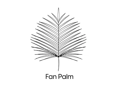 Fan Palm branding design flat illustration illustrator logo minimal pattern