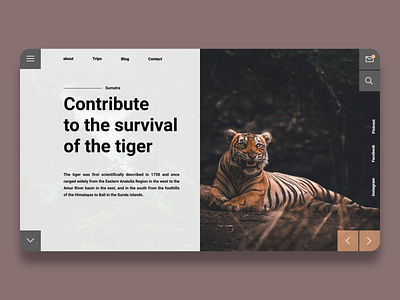 Travel site example app appdesign brescia design graphic design illustration ui ux website