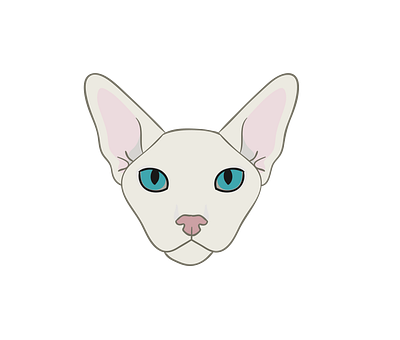 Sphynx Cat Face Vector 3d animal vector design graphic design illustration illustrator file illustrator png svg format vector art vector file