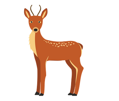 Western Roe Deer Vector animal vector design eps file graphic design illustration illustrator file illustrator png