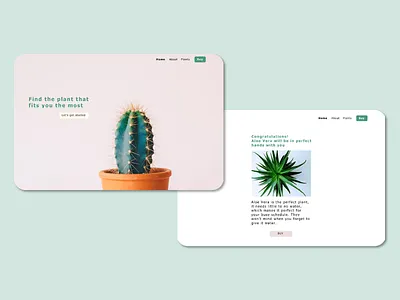 Plant decision aid design explore ui ux website