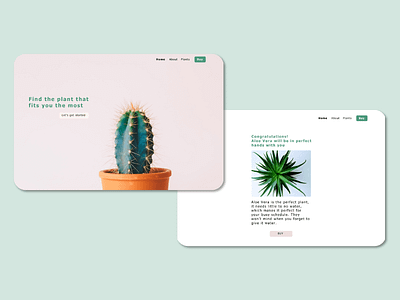 Plant decision aid design explore ui ux website