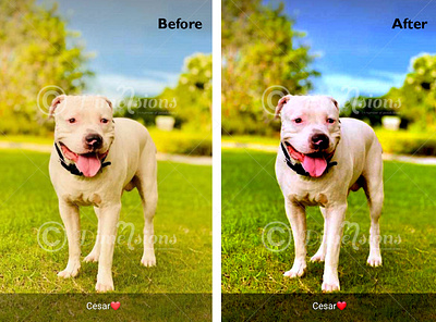 Color correction color correction image editing photoshop