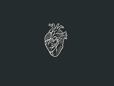 Philippians 4:6 dove drawing faith hand drawn heart illustration peace procreate sermon series worship and creative