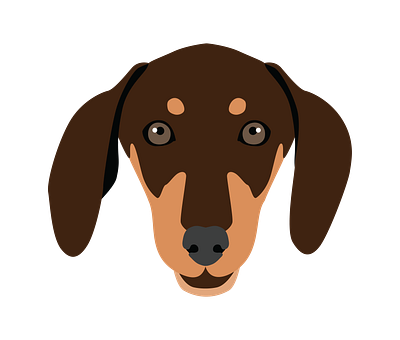 Beady Eyed Dachshund Dog Face Vector animal vector graphic design illustrator file illustrator png svg format vector art