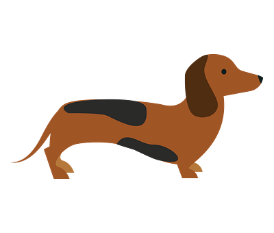 Blue and Tan Dachshund Dog Vector animal vector graphic design illustrator file illustrator png svg format vector art