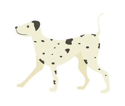 Light Colored Dalmatian Dog Vector animal vector graphic design illustration illustrator file illustrator png svg format vector art