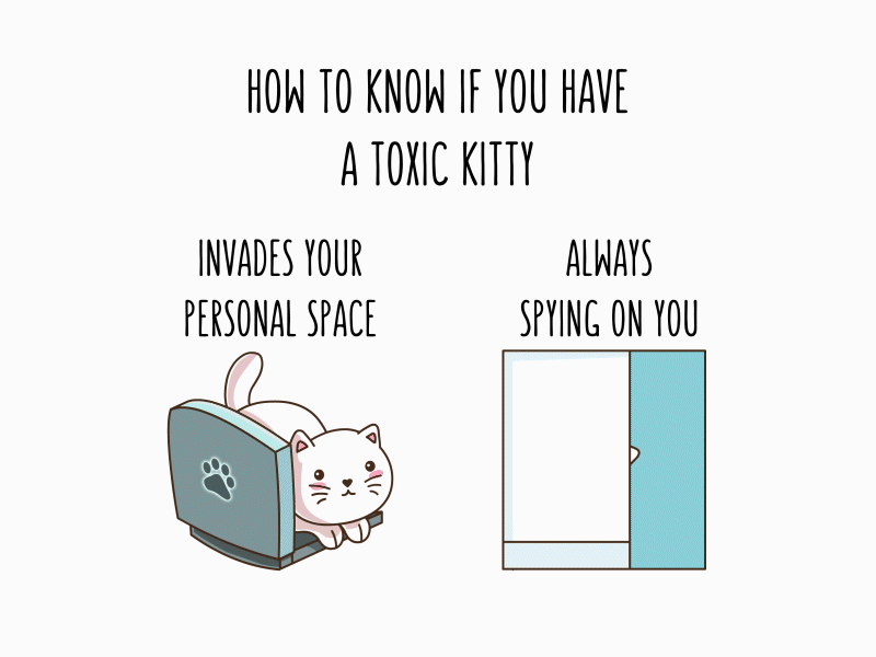Toxic Kitty Manual (part 1) animals animation cartoons cat caturday character comics cute design doodles funny gif humor illustration kawaii kitty toxic