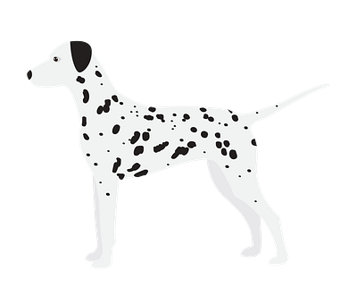 Dalmation Dog Side View Vector animal vector design eps format graphic design illustration illustrator file illustrator png vector art