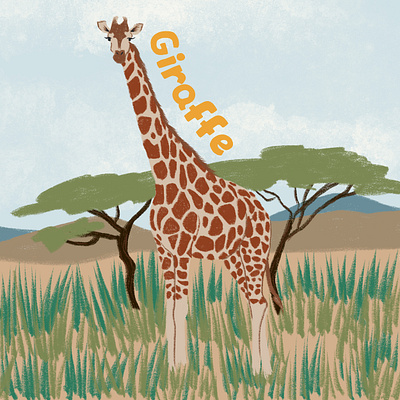 Giraffe animals drawing giraffe graphic design illustration mammals wildlife