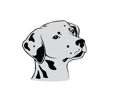 Adorable Dalmatian Dog Face Vector animal vector graphic design illustration illustrator file illustrator png svg format vector art