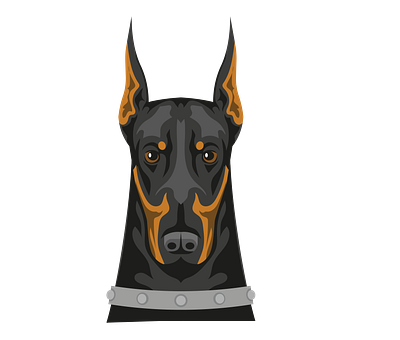 Menacing Doberman Dog Vector animal vector design eps format graphic design illustration illustrator file illustrator png vector art