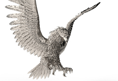 Silver Eagle Modelling and Rendering