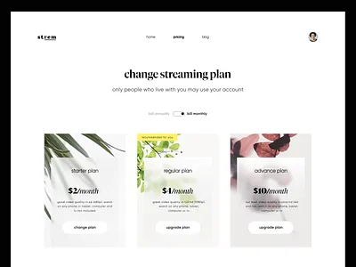 Choose Plan (Pricing Page) clean minimal plan pricing strem ui web