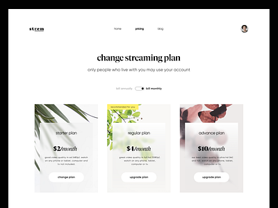 Choose Plan (Pricing Page) clean minimal plan pricing strem ui web