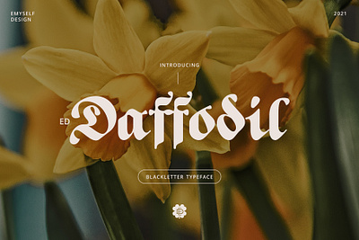 ED Daffodil font branding elegant font lettering logo minimalist typography