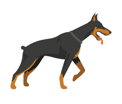 Doberman Right Sided View Dog Vector animal vector design graphic design illustration illustrator file illustrator png svg format vector art